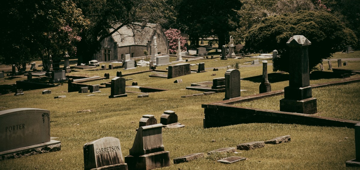 Tezza 1317  9 spine-chilling Halloween events in Birmingham for 2026