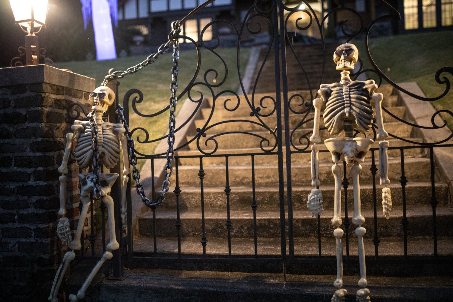 two skeleton decorations hanging outside iron fence in front of house