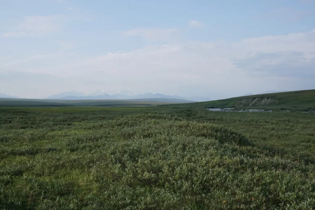 With industry wary of Arctic Refuge, Alaska