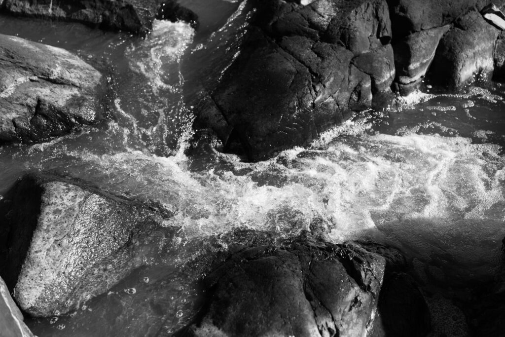 The Incident at Little River That Launched N.C.'s Gay Rights Movement