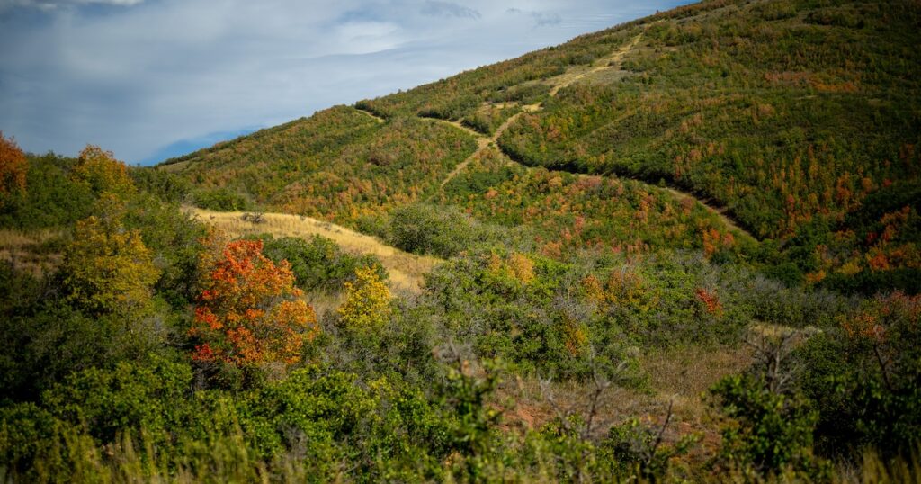 As a doctor, a proposed pipeline in Utah worries me