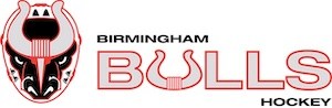 Birmingham Bulls