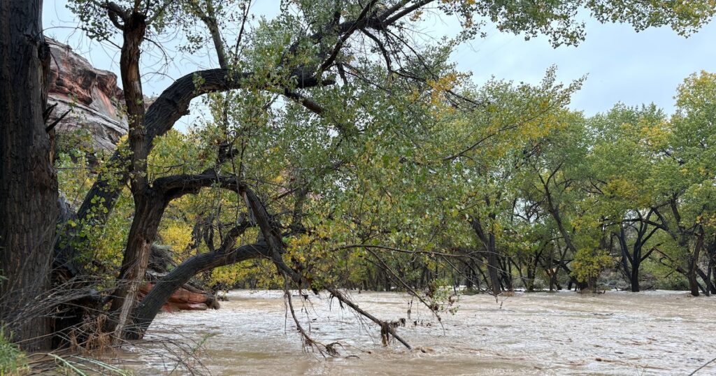 Zion National Park hit with flash floods as Escalante River rises from rain