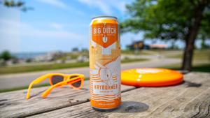 6 craft beers to get in line for at summer concerts