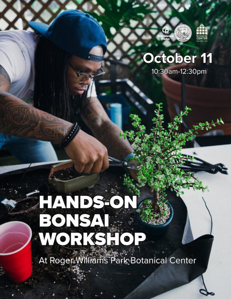 Bonsai Workshop October 11 2026