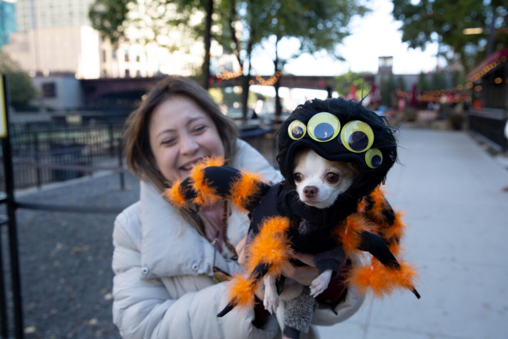 Howl-O-Ween Canine Cruise | 10/17/2026