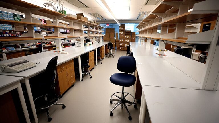 PETA sues UMass to get animal research records