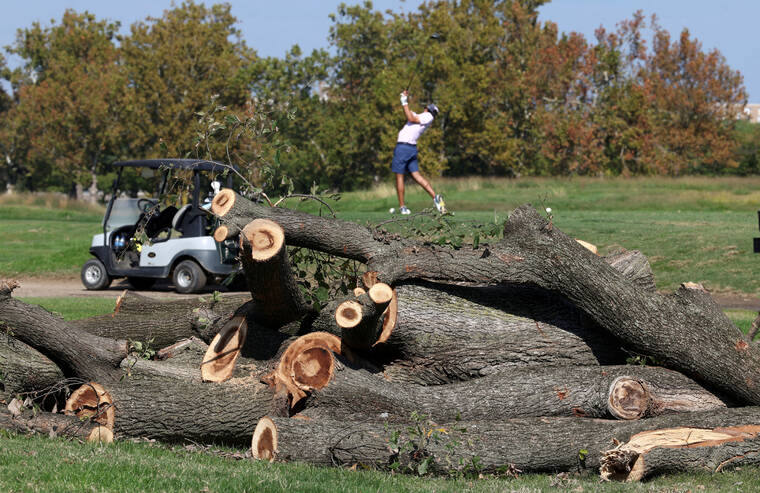 Trump: Washington golf course renovation to start in November